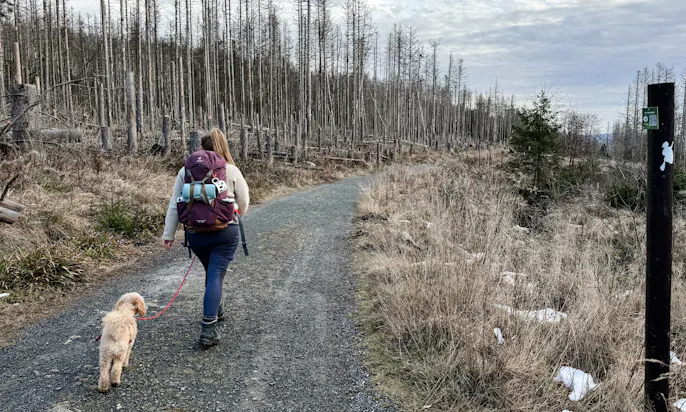 Frau und Goldendoodle genießen Quality Time beim Wandern