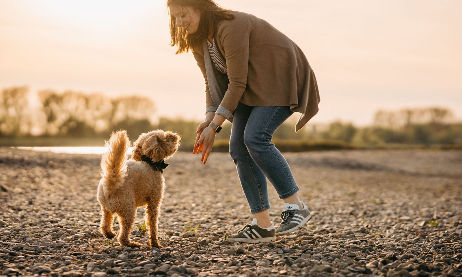 Achtsamer Moment zwischen Frau und Goldendoodle während eines Spiels