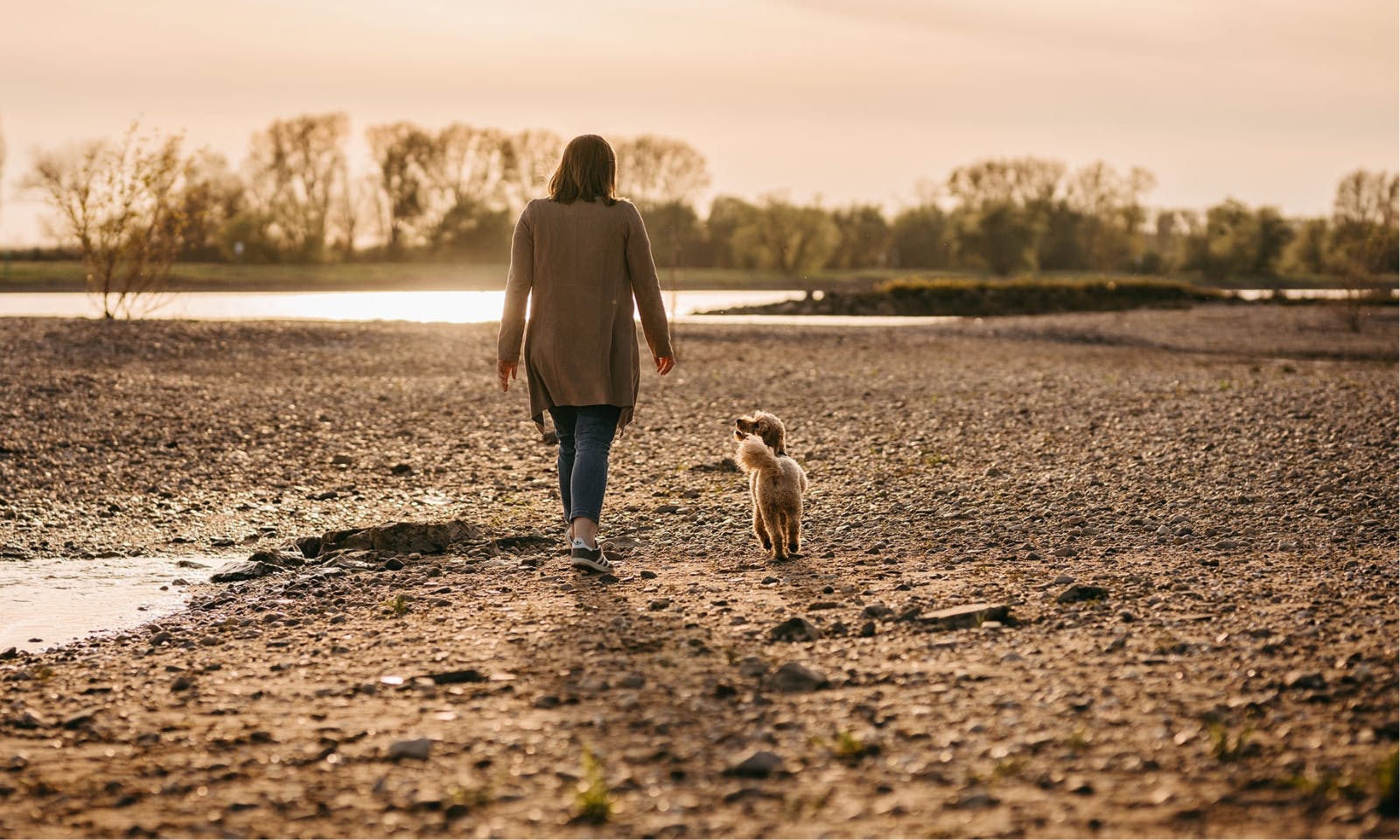 Achtsamer Moment zwischen Frau und Goldendoodle während eines Spaziergangs