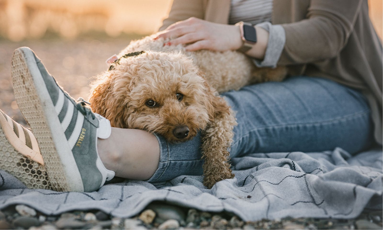 Achtsamer Moment zwischen Frau und Goldendoodle
