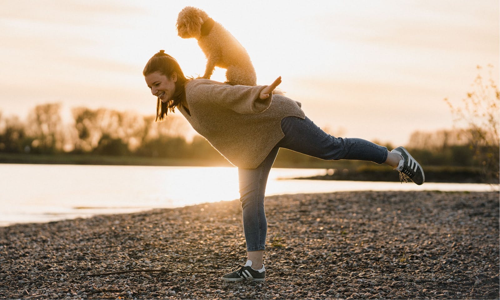 Mensch-Hund-Team: Frau bringt Goldendoodle spielerisch einen neuen Trick bei.