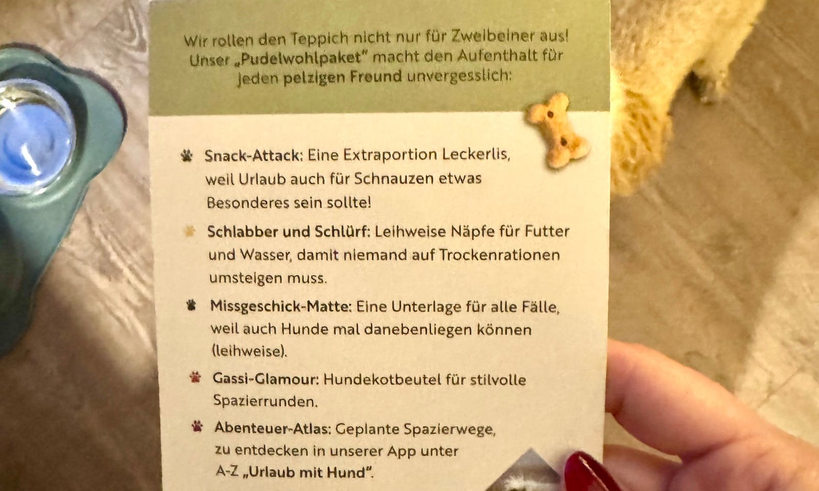 Hundefreundlichkeit im Schierke Harzresort