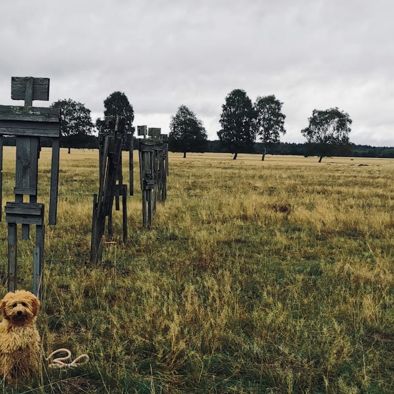 Hotelcamp Reinsehlen mit Hund