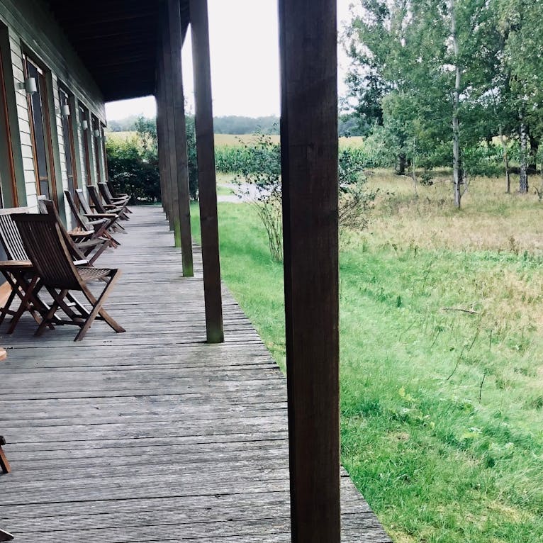 Hotelcamp Reinsehlen mit Hund