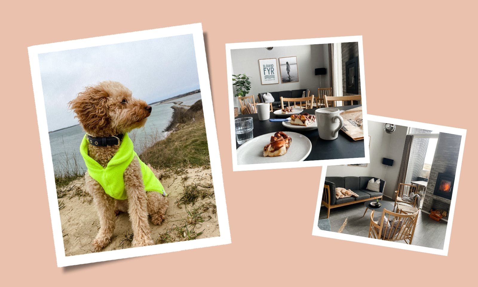 Hygge mit Hund