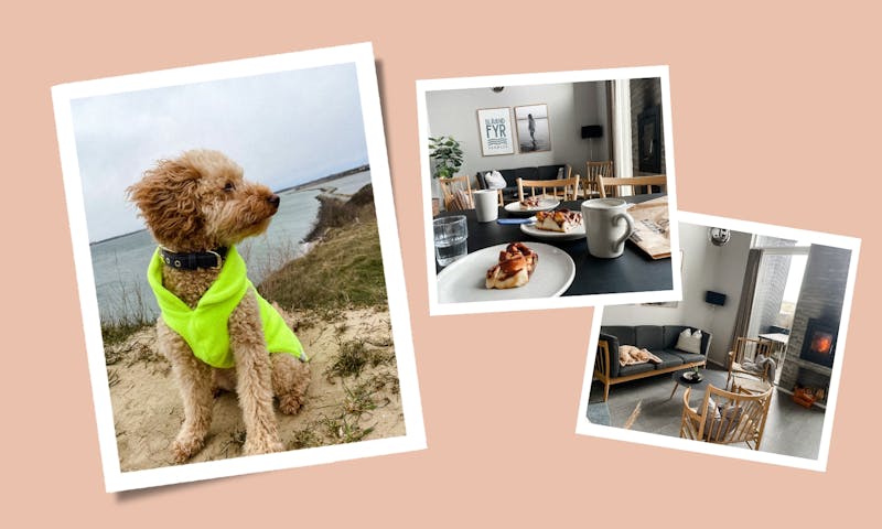 Hygge mit Hund