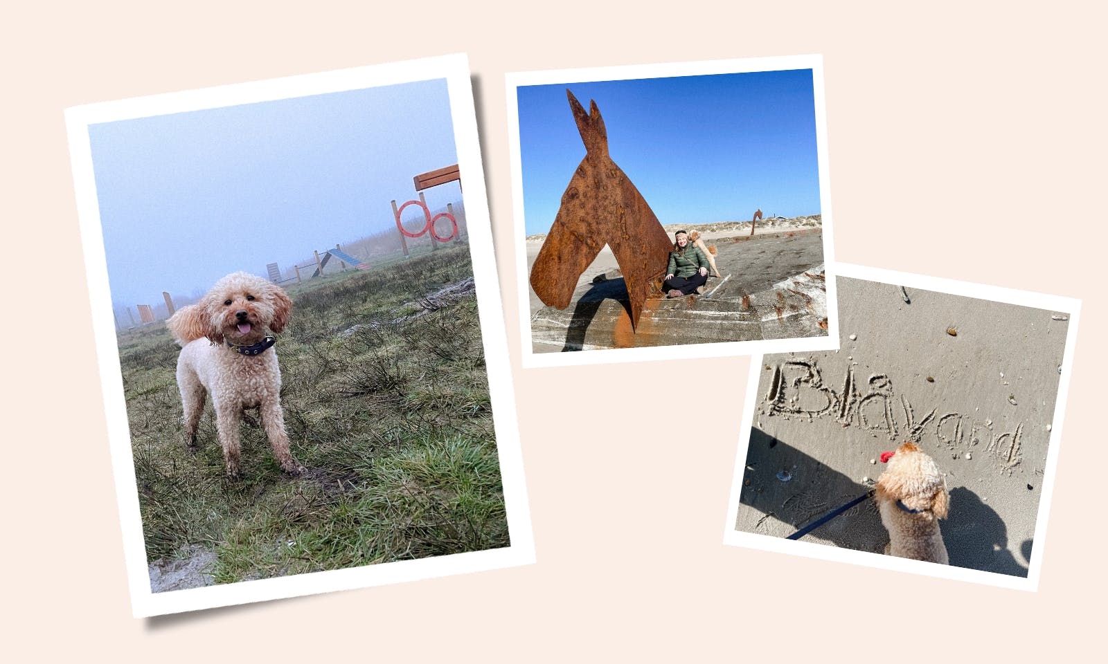Blåvand mit Hund