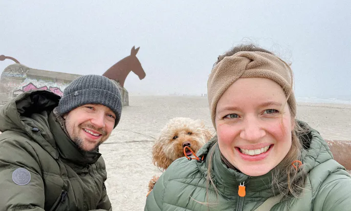 Goldendoodle in Blavand am Strand