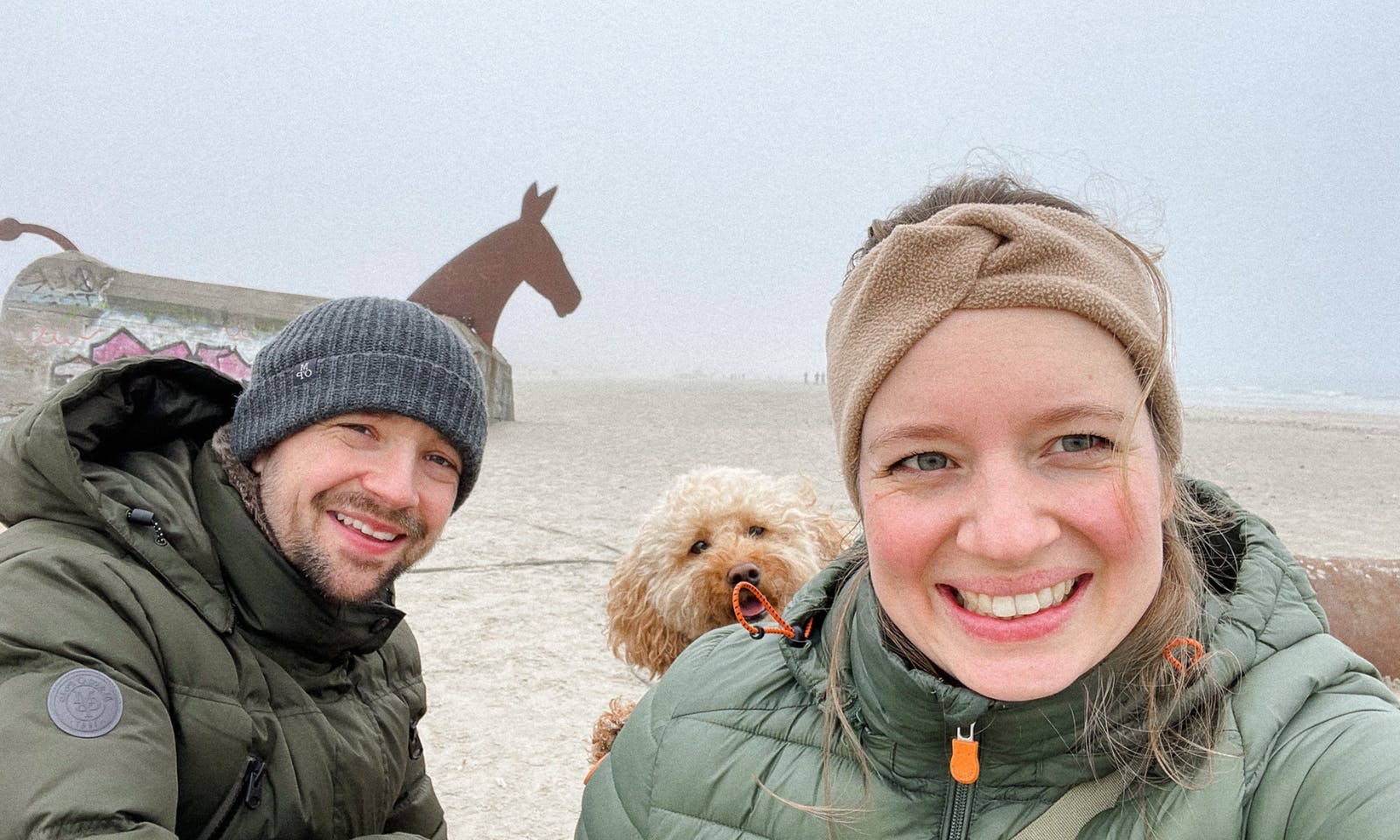Goldendoodle in Blavand am Strand