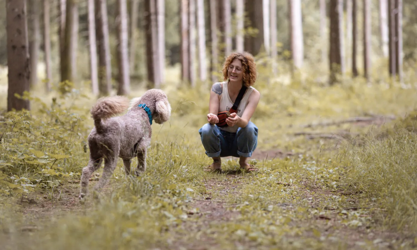 bedürfnisorientiertes Training mit Hund