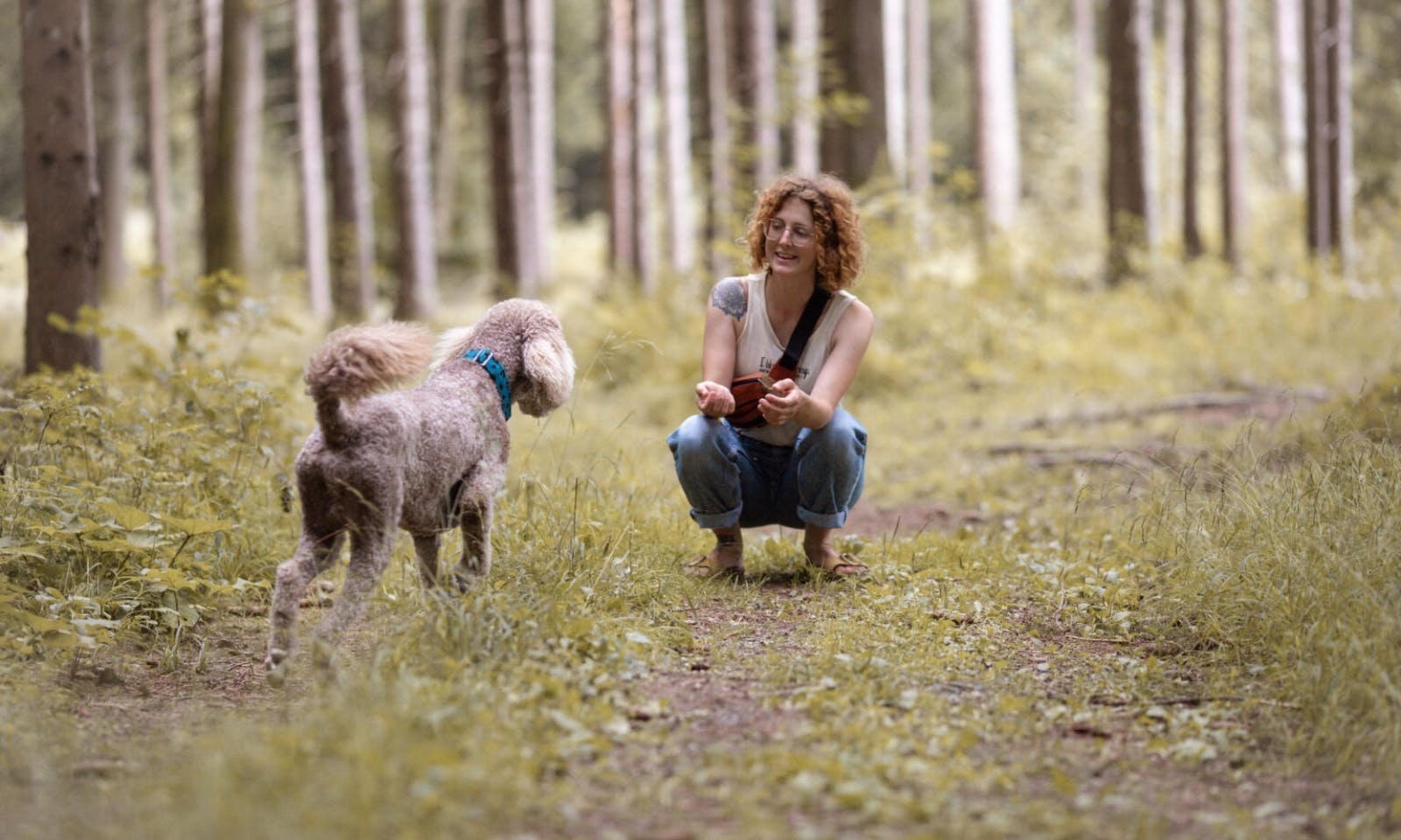 bedürfnisorientiertes Training mit Hund