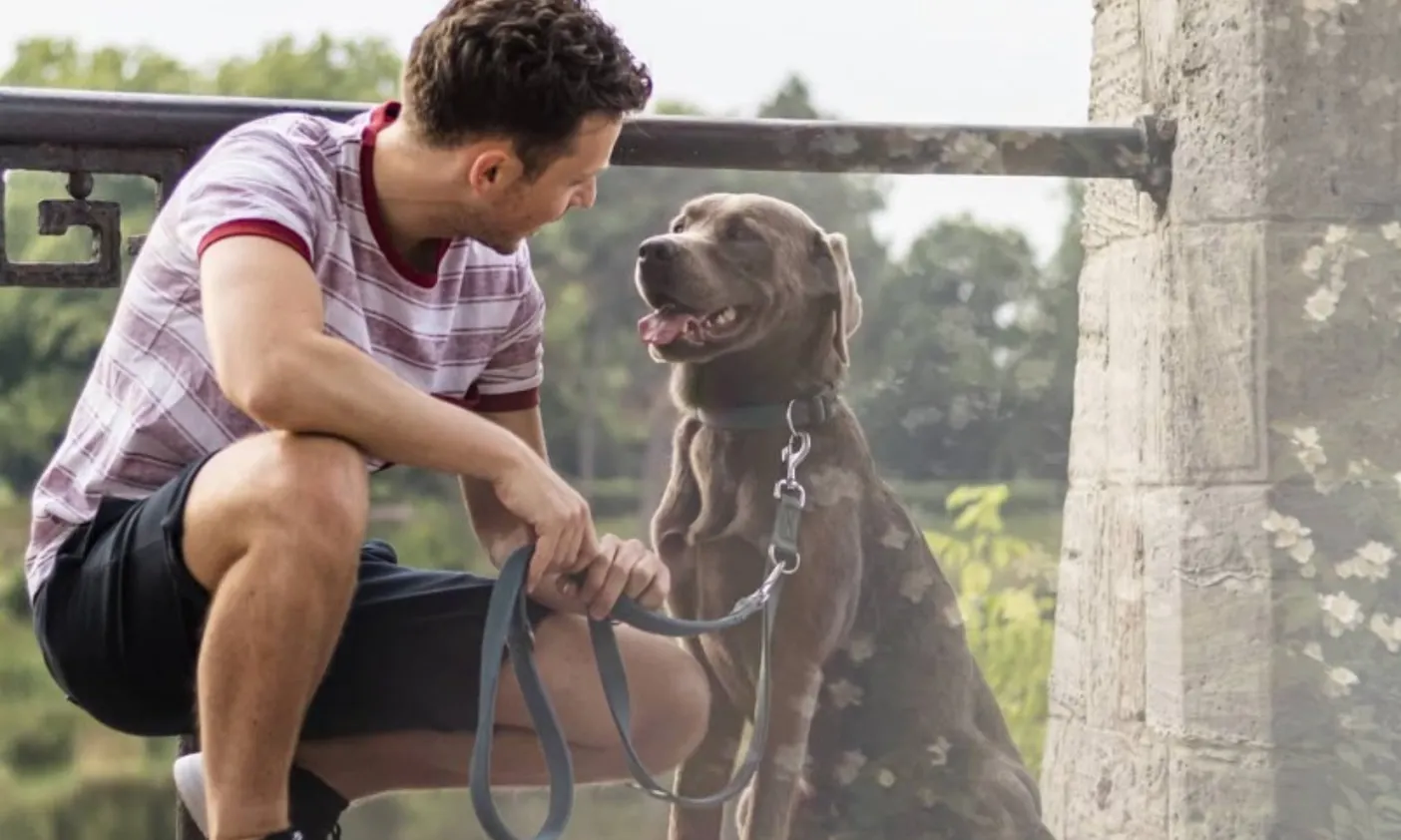 Ein Mann schaut seinem Hund in die Augen