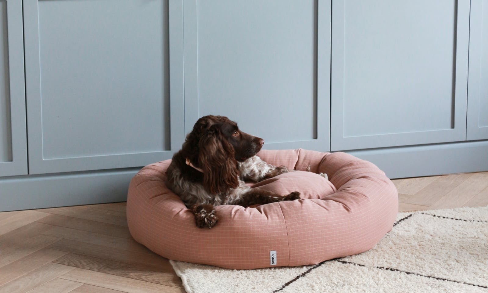 Hund in einem hyggeligen Hundekörbchen skandinavisch eingerichtet