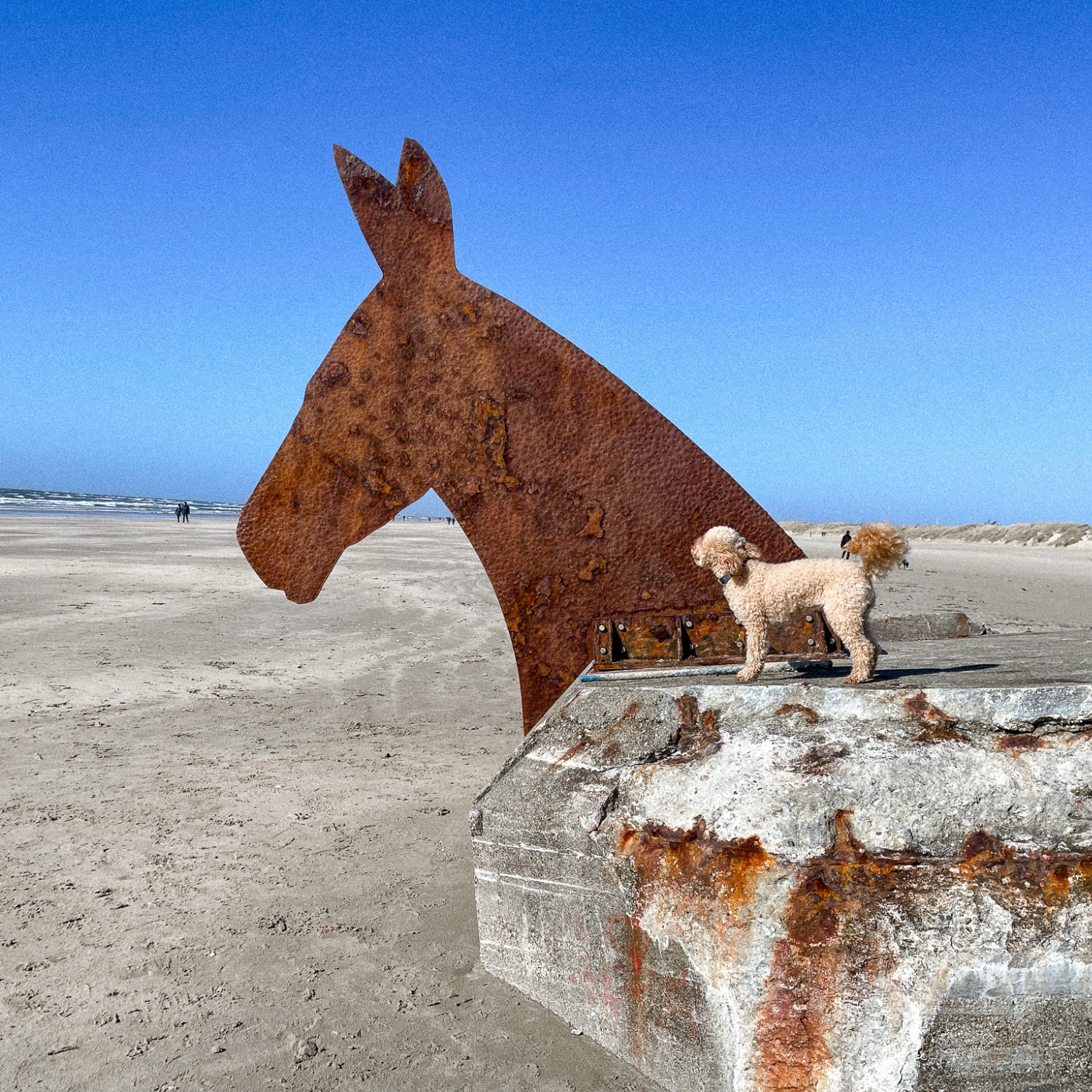 Dänemark Einreisebesitmmungen