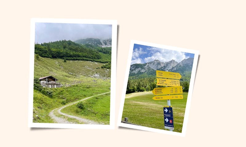 Wilder Kaiser mit Hund: Die perfekte Bucketlist für deinen Urlaub