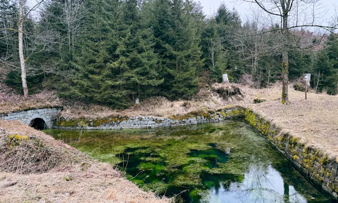 Hutthaler Widerwaage