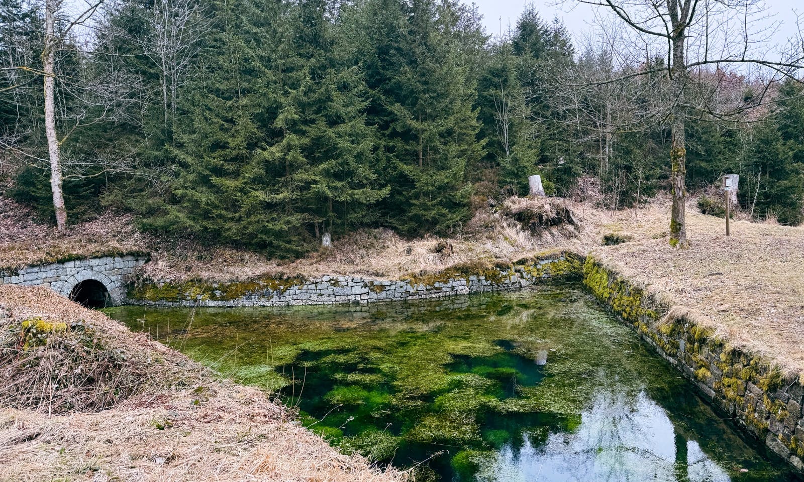 Hutthaler Widerwaage