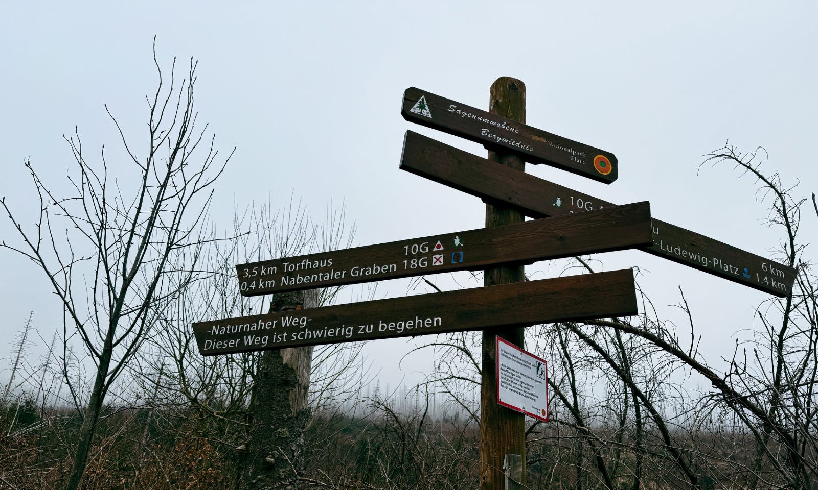 Wandern mit Hund im Harz