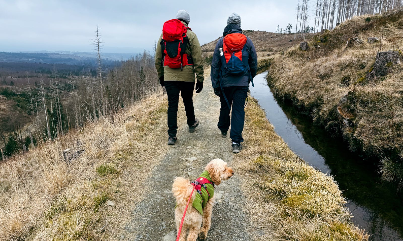 Harzer-Hexen-Stieg mit Hund