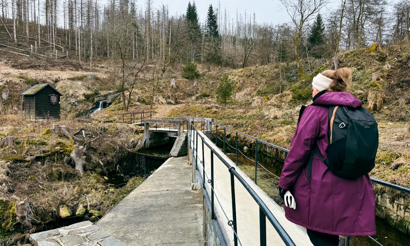 Wasserbaukunst im Harz