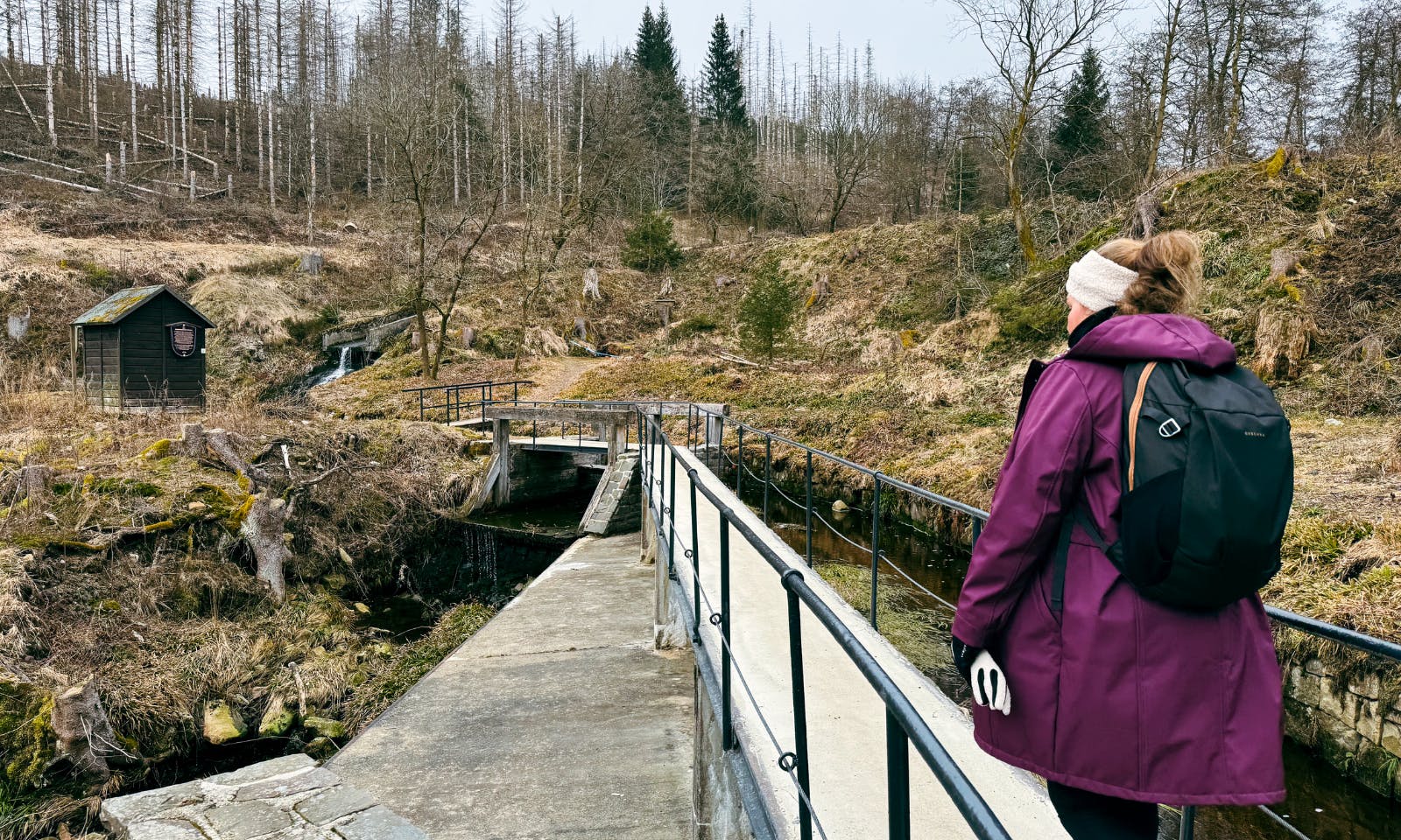 Wasserbaukunst im Harz