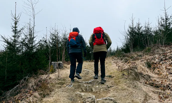 Dammgraben im Harz
