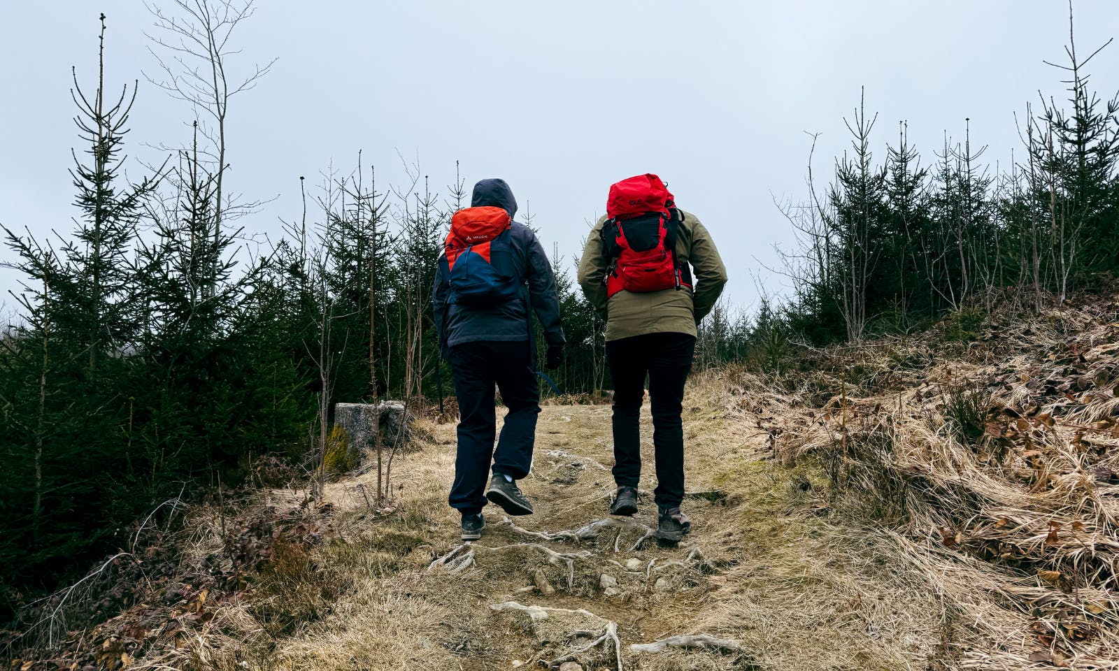 Dammgraben im Harz