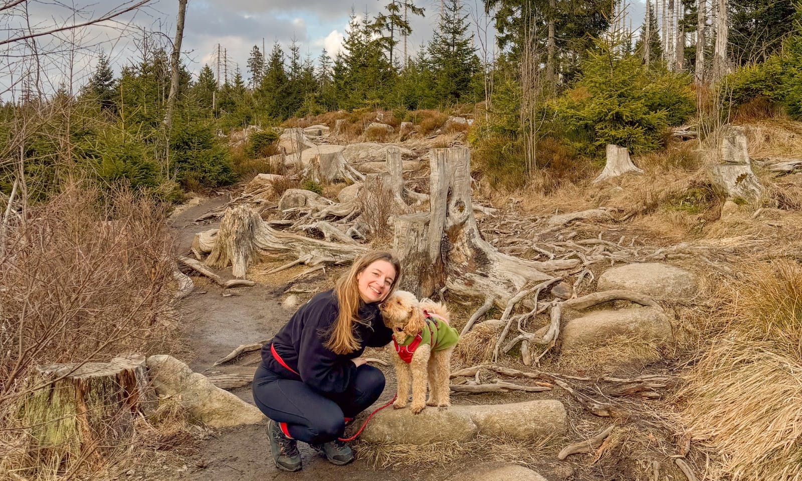 Wandern im Harz mit Hund