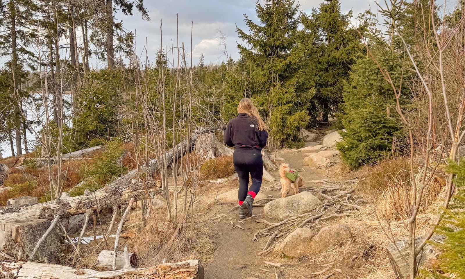 Wandern mit Hund im Harz: Oderteich-Rundweg im UNESCO-Welterbe