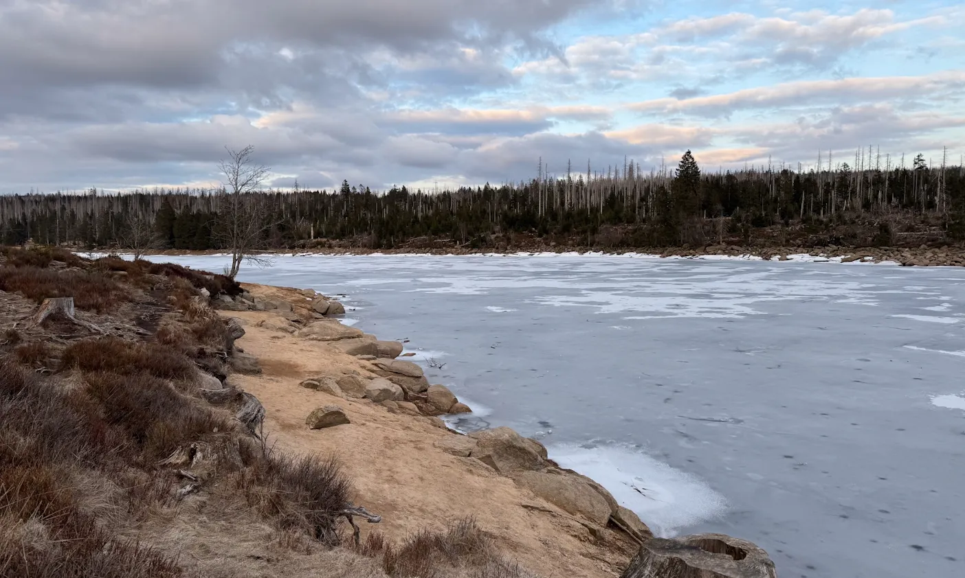 Oderteich im Winter