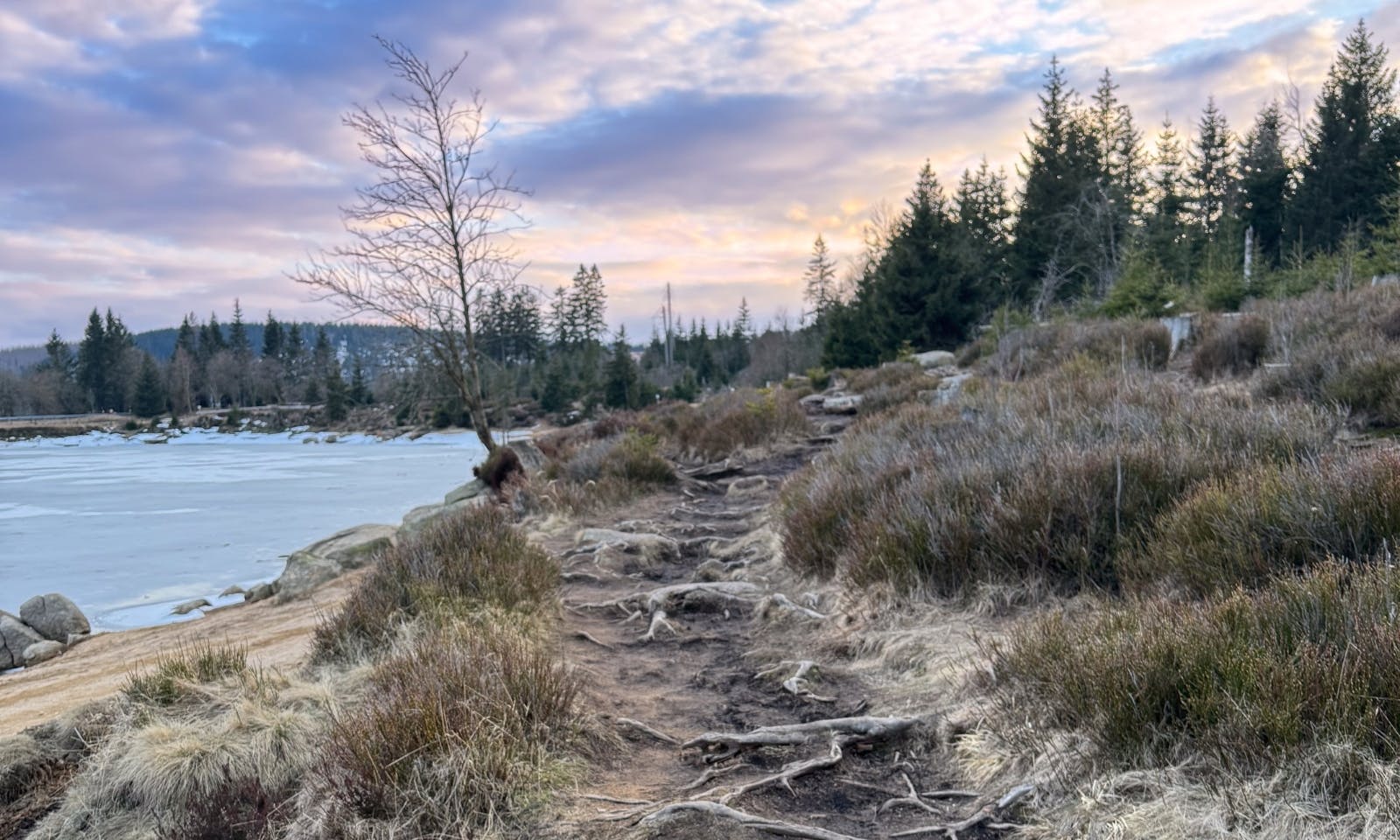 Oderteich-Rundweg im UNESCO-Welterbe