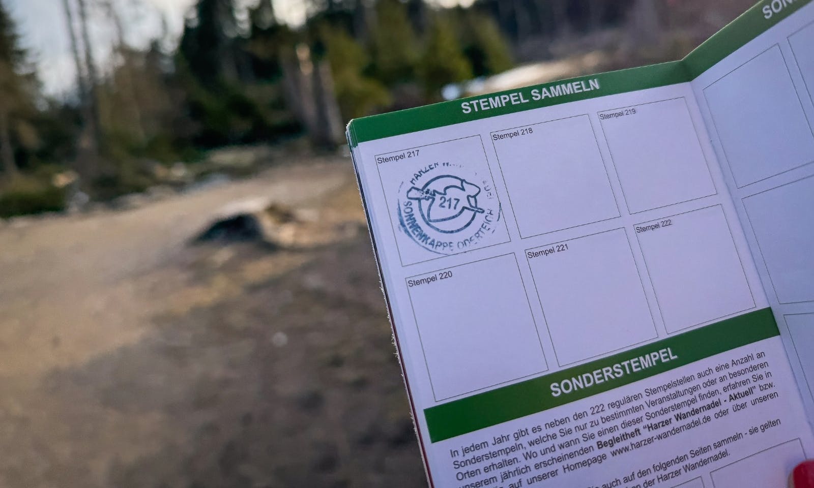 Harzer Wandernadel: Stempelstelle 217