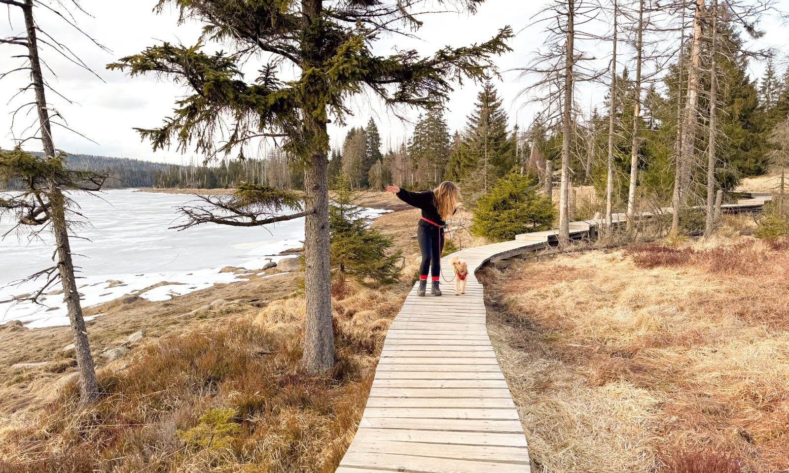Bohlenstege am Oderteich