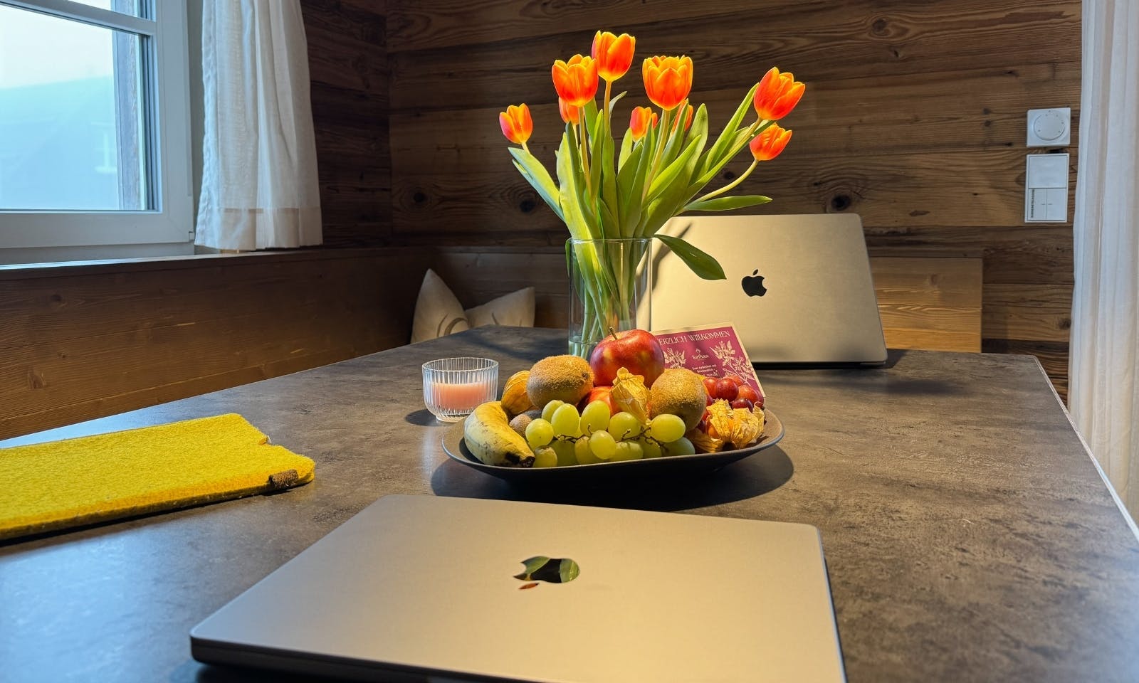 Workation im Torfhaus Harzresort mit Hund