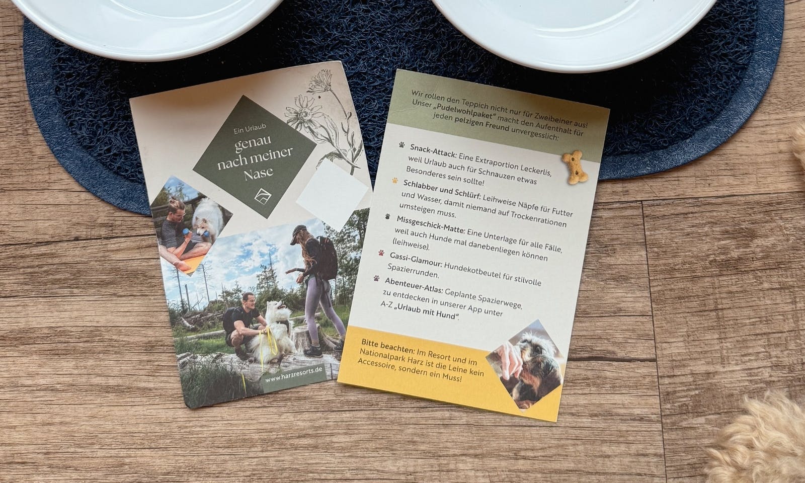 Checkliste für deinen Aufenthalt im Torfhaus Harzresort mit Hund