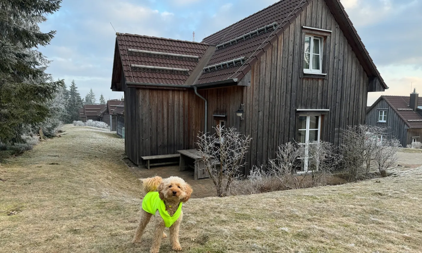 Premium Lodge Plus im Torfhaus Harzresort mit Hund