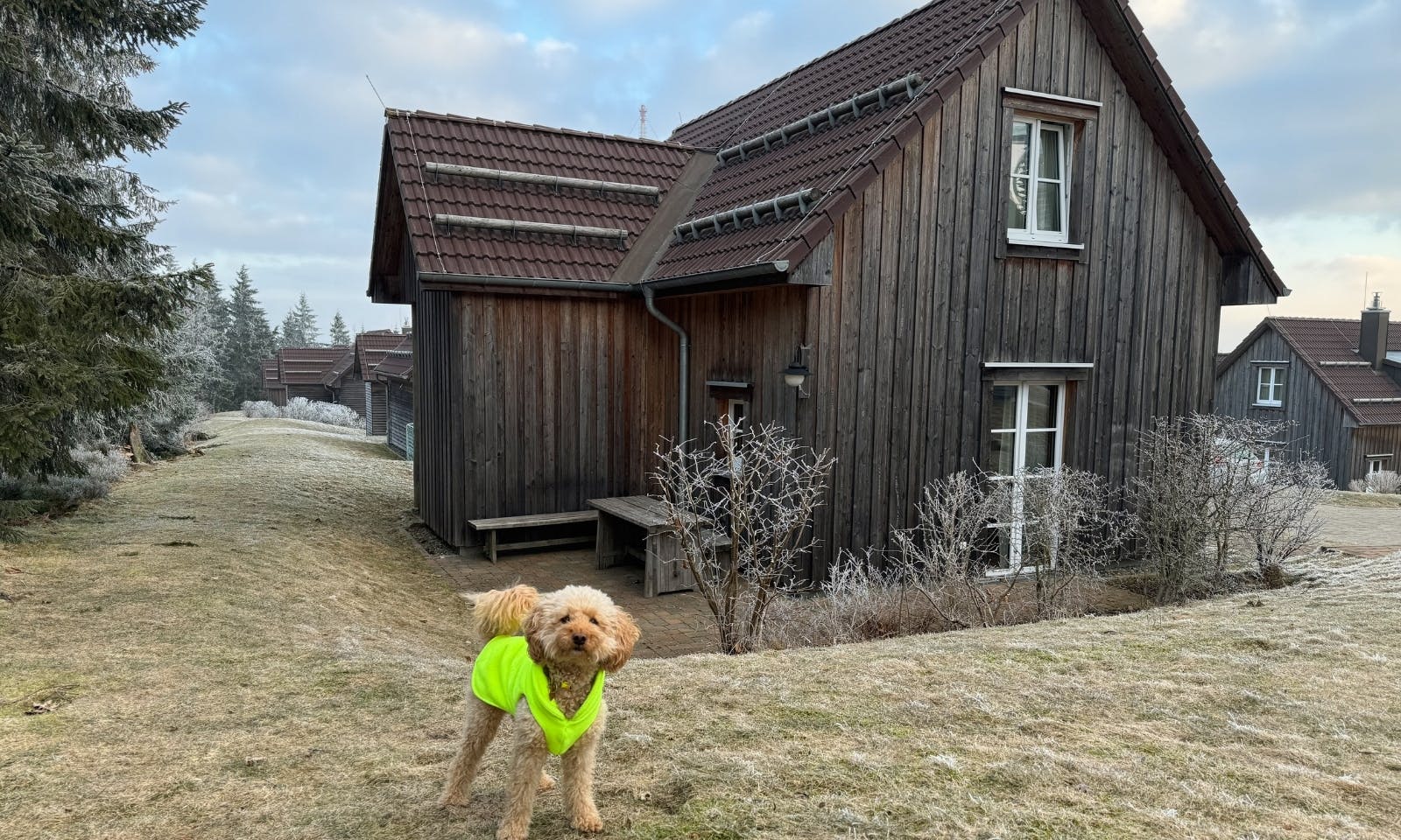 Premium Lodge Plus im Torfhaus Harzresort mit Hund