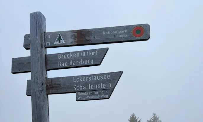 Wandern im Harz am Torfhaus
