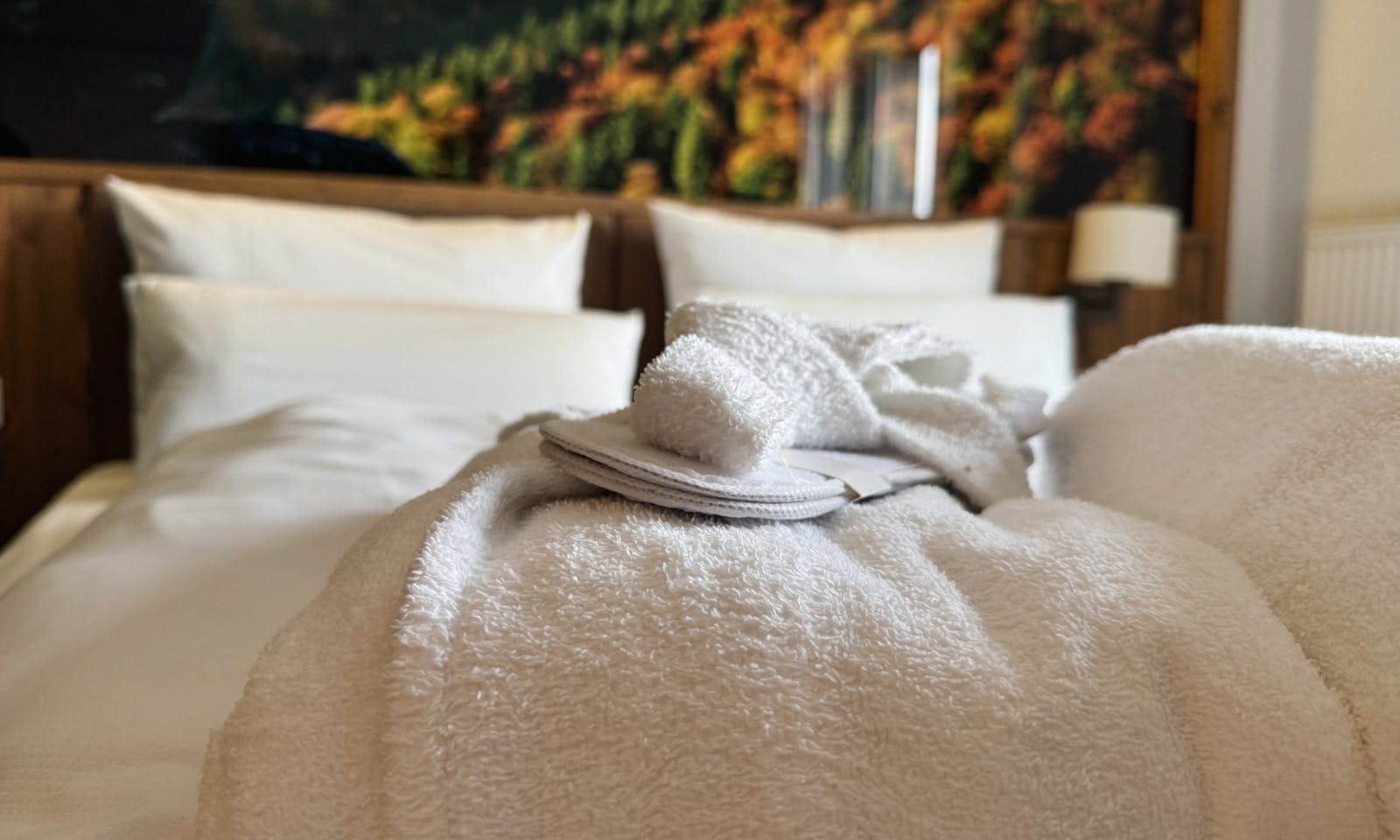 Berghotel Torfhaus – moderne Zimmer mitten im Harz