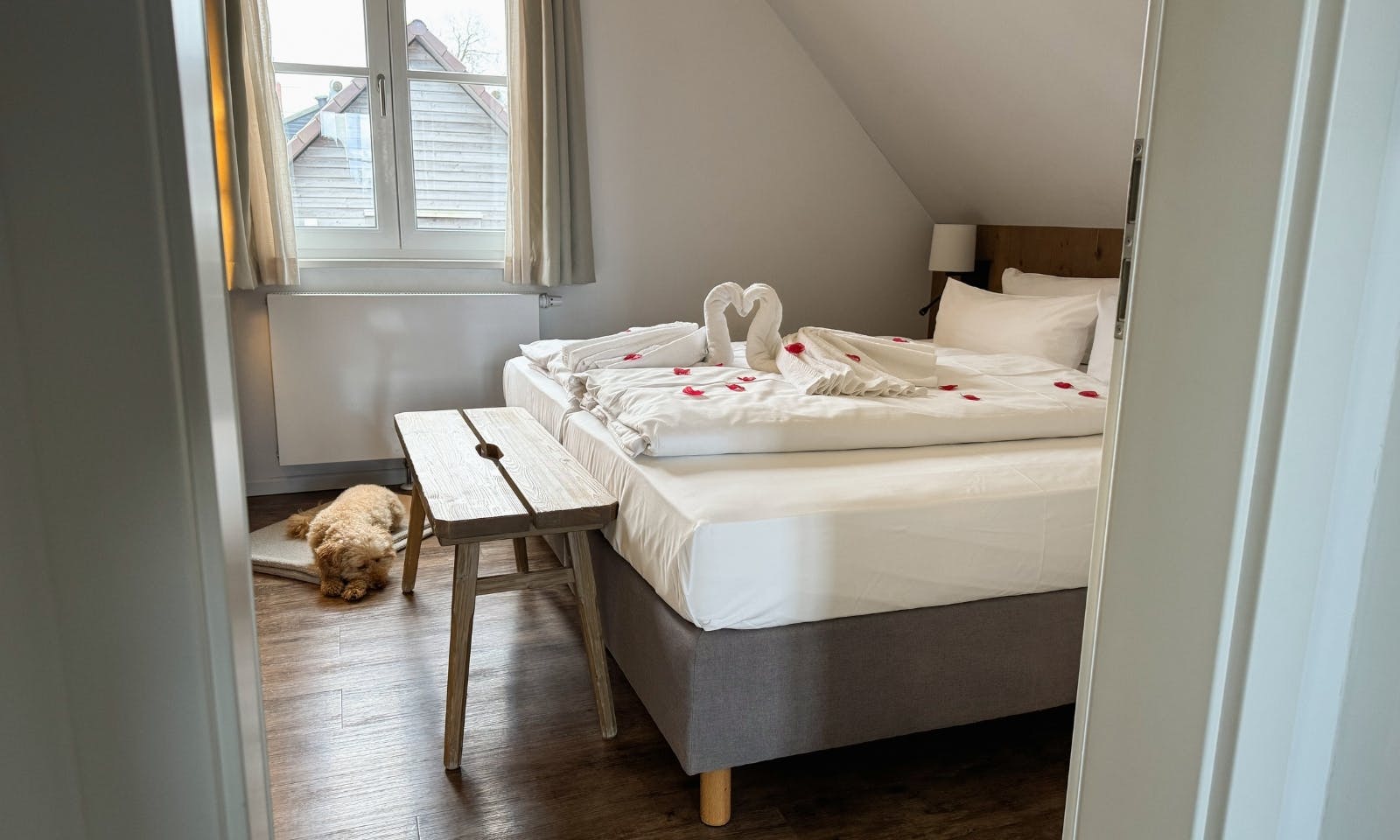 Lichtdurchflutete Räume in der Premium Lodge Plus