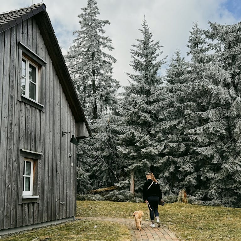 Arbeiten und entspannen im 4 Sterne Torfhaus Harzresort