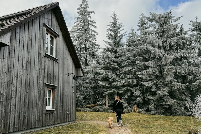 Arbeiten und entspannen im 4 Sterne Torfhaus Harzresort