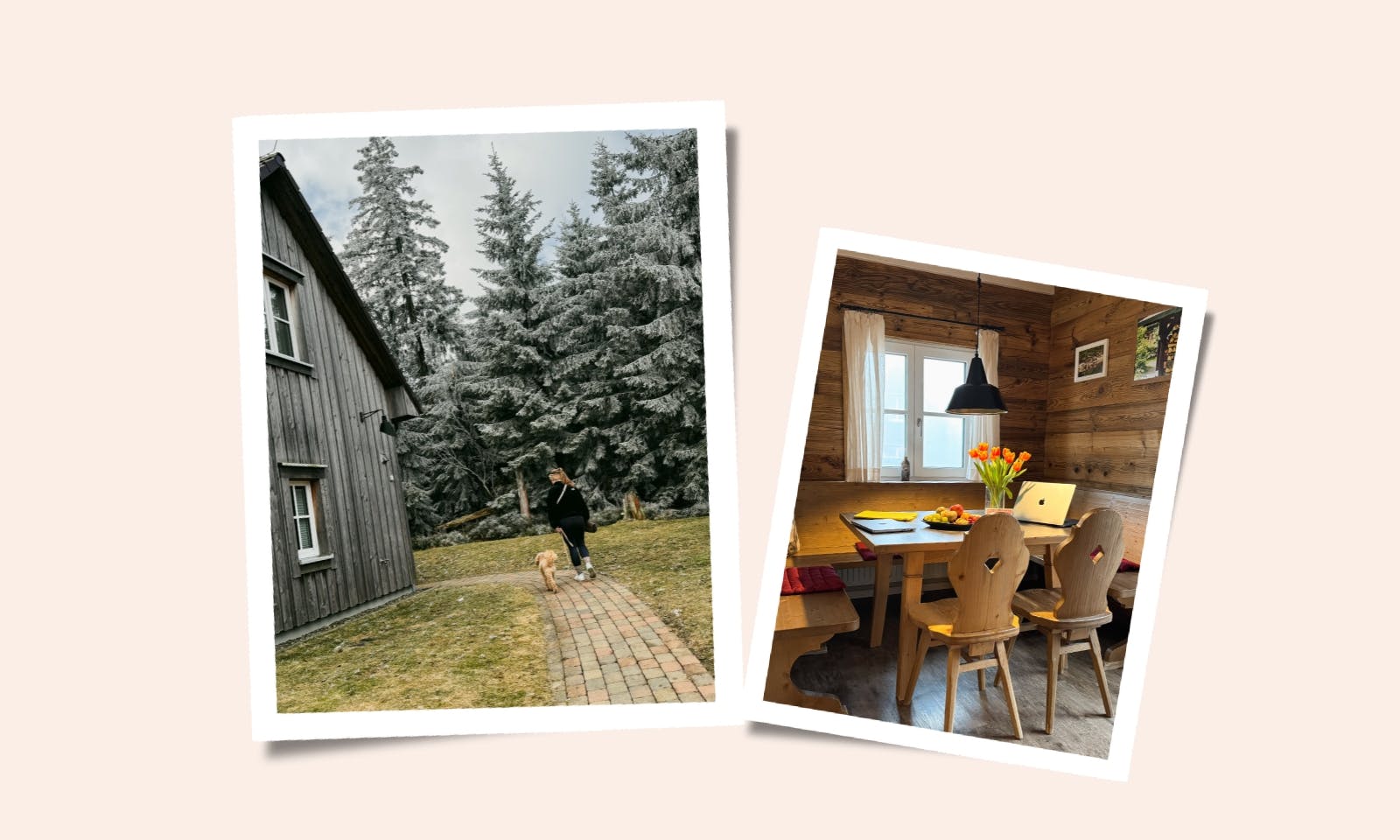 Urlaub mit Hund im 4-Sterne Torfhaus Harzresort: Unsere Erfahrungen & Insider-Tipps