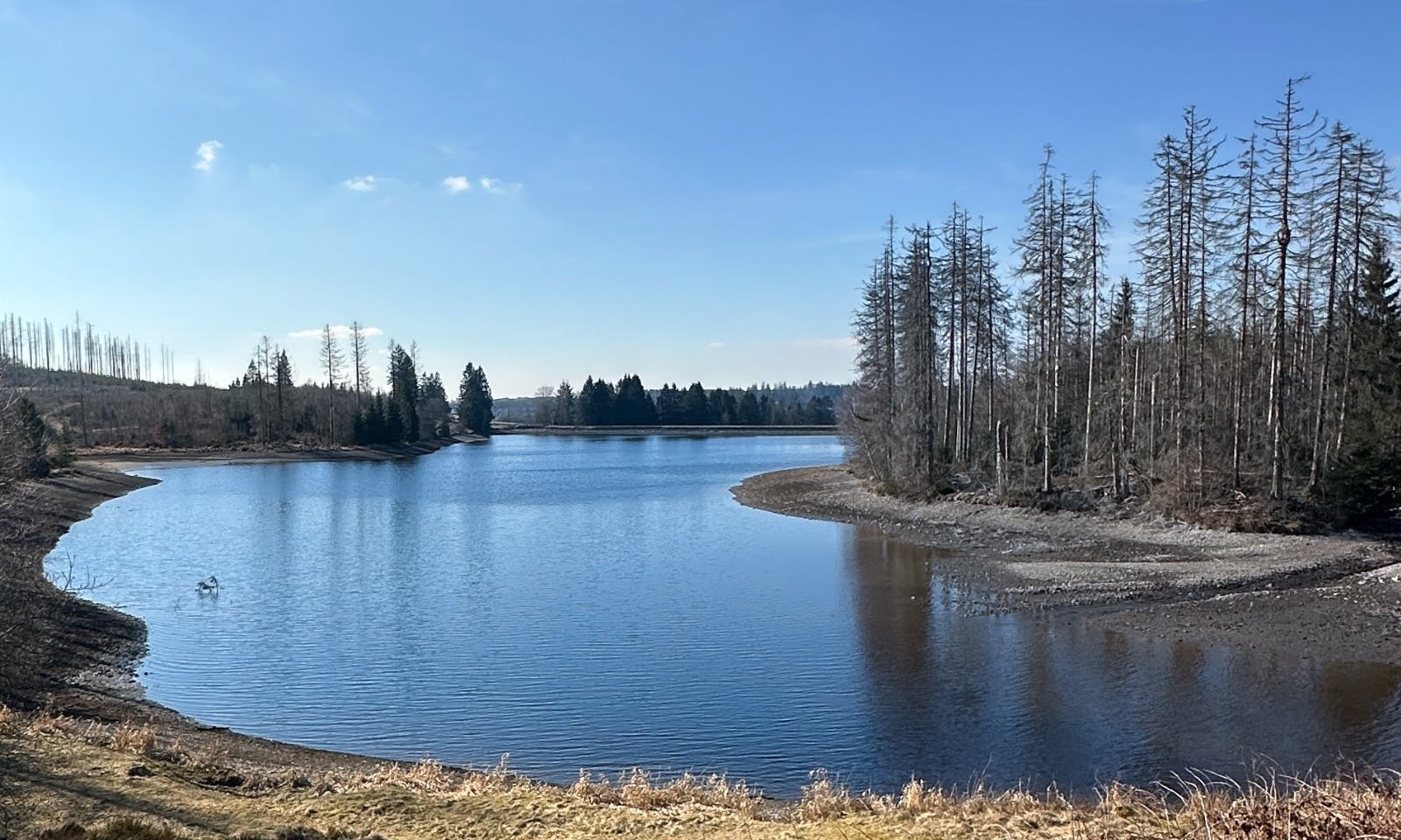 Bärenbrucher Teich mit blauen Himmel