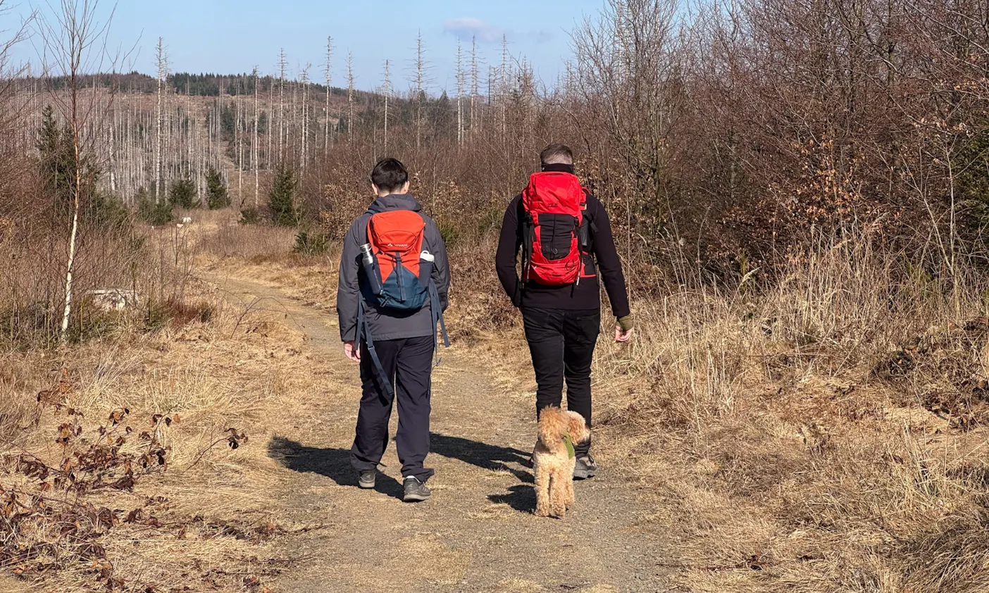 Wandern mit Hund auf dem Harzer-Hexen-Stieg