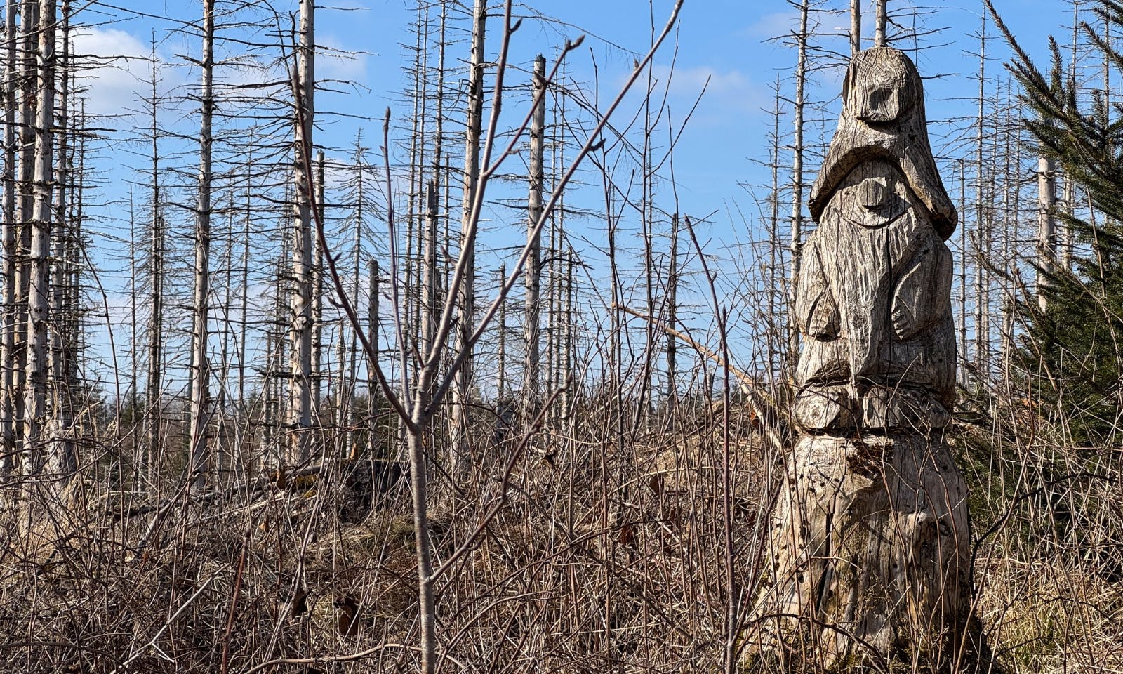 Von Osterode bis nach Buntenbock auf dem Harzer-Hexen-Stieg