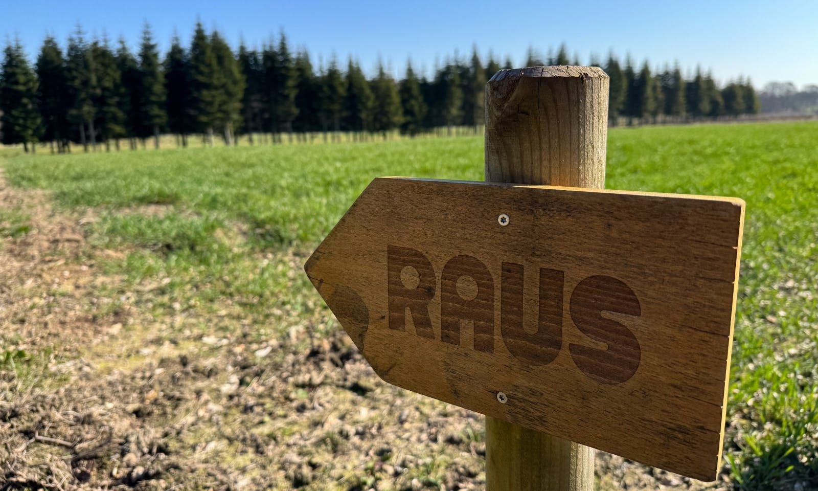 Raus Holzschild