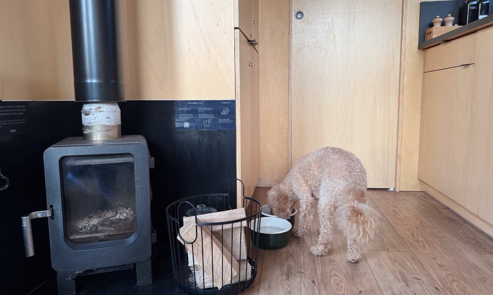 Hund frisst aus einem Hundenapf, der neben einen Kamin steht im einem Raus Tiny House