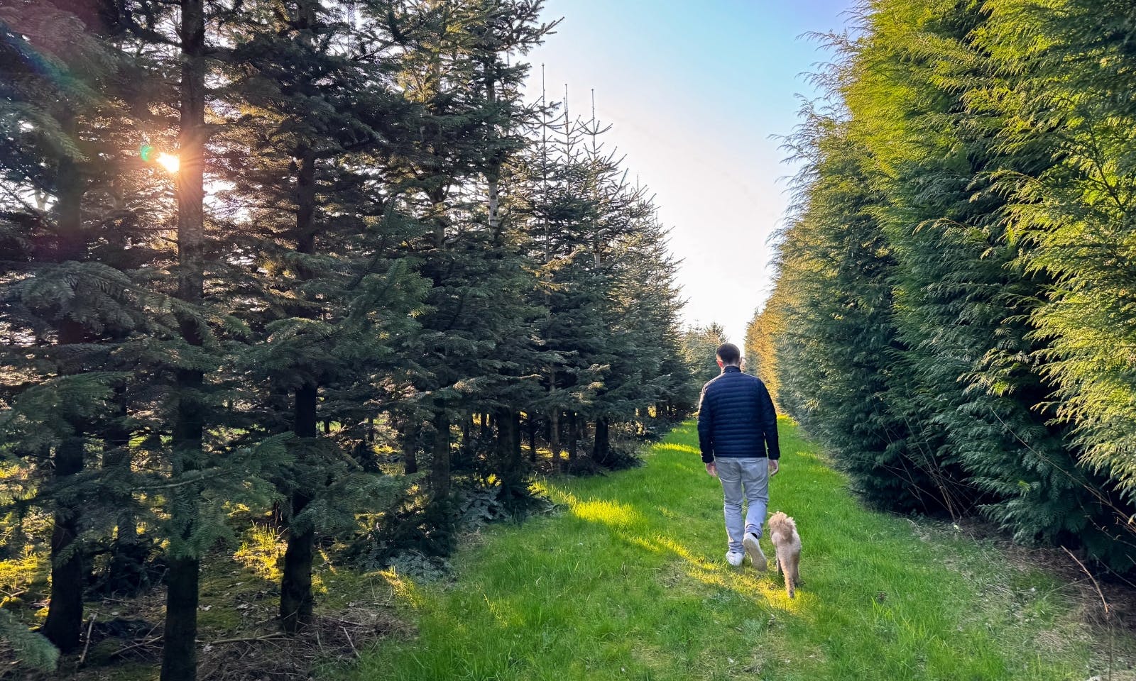 Tiny House Tannenlichtung von Raus