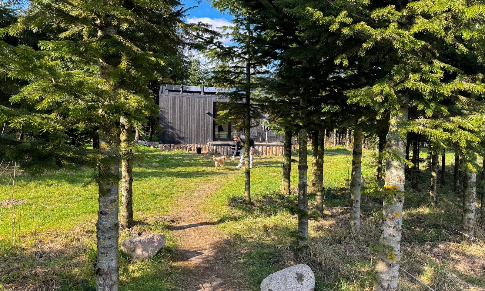 Tiny House Tannenlichtung von Raus